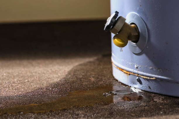 Best Basement water damage restoration  in Farmingdale, NJ
