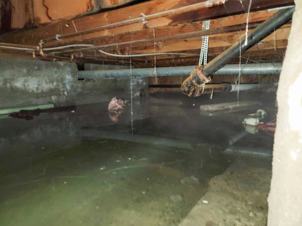 Best Fire Damage Restoration  in Farmingdale, NJ