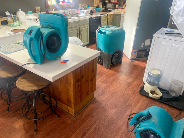 Best Professional water damage repair  in Farmingdale, NJ