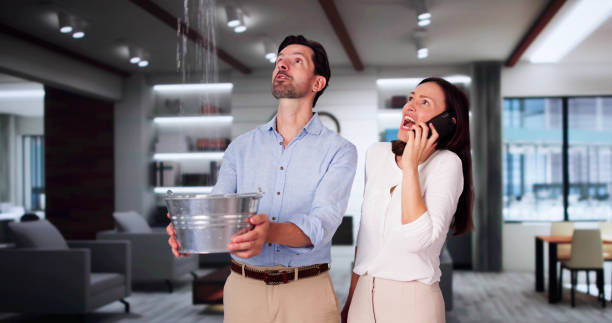 Best Sewage cleanup and water damage restoration  in Farmingdale, NJ